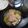 ルリカラクサ's cooksnap of when they made 玉ねぎと鮭の味噌汁.