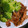 クックMB0955☆'s cooksnap of when they made ど定番！大好き我が家の生姜焼き.
