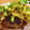 kaipon000's cooksnap of when they made ＊簡単＊焼き肉のたれ煮込みハンバーグ.