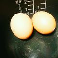 らんびか's cooksnap of when they made お手軽！炊飯器で温泉卵.