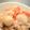 *きゃお*'s cooksnap of when they made 里いもの炊き込みご飯.