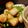 tetsucoro's cooksnap of when they made 乙ちゃん家の作り置き。おから肉団子.