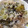 kazu1101's cooksnap of when they made さつまいもとちりめんじゃこの炊き込みご飯.
