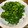 卵せんべい's cooksnap of when they made 簡単☆菜花の辛子和え.