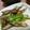 よっちあっこ's cooksnap of when they made シンプル！長ねぎ＆アゲ炒め！.