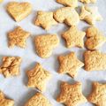 あおいおいおい's cooksnap of when they made 簡単♪サラダ油de本格的ビスケット♪.