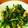 杏子姫's cooksnap of when they made ちゃちゃっと５分♪小松菜の中華炒め.