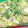 Cook★Robin's cooksnap of when they made 簡単カット野菜 長ねぎの冷凍食品保存.