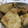 tutocook's cooksnap of when they made 里芋と豚肉のしょうゆ煮.