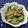 miyuki12's cooksnap of when they made きゅうりの生姜甘酢ピクルス.