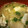 natumina's cooksnap of when they made 牡蠣とほうれん草の味噌仕立て.