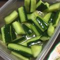inabamboo's cooksnap of when they made キュウリのナムル！ハマりますよ！！.