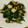 しましまたまころ's cooksnap of when they made たことほうれん草のにんにく炒め.