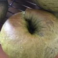 Yuyuyu12's cooksnap of when they made 和菓子みたい♪抹茶小豆ベーグル.