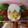 miraandleo's cooksnap of when they made キャラ弁☆ミニトマトのピクニックバック♪.