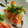 sorano16's cooksnap of when they made ☆大根とにんじんの甘酢漬け☆.