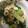 mitoyarin's cooksnap of when they made 簡単レンジで✩ゴマ香るネギと竹輪のぬた.