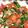 wnemu801's cooksnap of when they made ほうれん草と生ハムのサラダ.