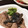 あたむ❤189's cooksnap of when they made 簡単！ブリの漬け焼き(ゆず醤油).