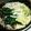 nana✩love's cooksnap of when they made みそダレで絶品♪簡単もやし鍋.