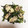 クックDYO7CT☆'s cooksnap of when they made 簡単！！牡蠣と春菊のソテー♫.