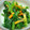 レオミウ's cooksnap of when they made ほうれん草とたまごのサラダ.