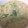 クックPT05YQ☆'s cooksnap of when they made 卵のおじや.
