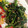 クックZ8J4H4☆'s cooksnap of when they made ほうれん草の海苔の佃煮和え.