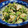 まひわ's cooksnap of when they made 菜の花と牛しゃぶのごま和え.