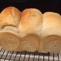 そうちゃん３４'s cooksnap of when they made ホシノ天然酵母✿イギリスパン✿.