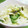 みっくママ's cooksnap of when they made 酢しょうがとキャベツのとても浅い浅漬け.