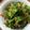 すだっちちー's cooksnap of when they made 常備菜にできるレタスサラダ.