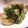 クックPX0BNC☆'s cooksnap of when they made ネギだく☆牡蠣のバター醤油焼き丼.