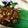 クック3198BQ☆'s cooksnap of when they made 茎わかめの佃煮.