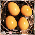 kemi★'s cooksnap of when they made 燻製たまご.