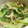 休憩中♪'s cooksnap of when they made しろ菜（白菜）と揚げかまぼこのあっさり煮.