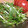 ◎あーたん◎'s cooksnap of when they made 水菜とザーサイの簡単サラダ.