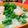 Pericom's cooksnap of when they made ふわっとぷりっと♡優しい海老卵素麺.