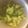 iccchiman's cooksnap of when they made ブロッコリーの美味しいゆで方.