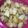 クックPX4GUB☆'s cooksnap of when they made 簡単♪甘甘☆レンジでゴマじゃが.
