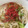 mantacarp's cooksnap of when they made 長ネギと桜えびの煮込みうどん.