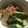 おぶたさま★'s cooksnap of when they made アスパラベーコンのバター炒め.