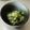 スージー＆ジル's cooksnap of when they made 夏の薬味たっぷり 酢の物.