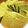 Nya6nya6's cooksnap of when they made シフォンケーキ(ウォック、FP使用）.
