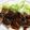 ちょこ＊choco's cooksnap of when they made まさにステーキ丼。.