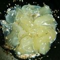 ７２３'s cooksnap of when they made 刺身こんにゃくの塩麹和え.