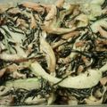 PARNELL's cooksnap of when they made 野菜もたっぷり♪ひじきのベーコン炒め.