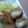 ぴころん's cooksnap of when they made 豚のしそと茄子巻き（餅バージョンあり！）.