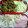 あこ太郎。's cooksnap of when they made 豚肉のしょうが焼き.