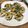 クック5GDDWZ☆'s cooksnap of when they made 豆苗入りササミハンバーグ(●´ڡ`●).